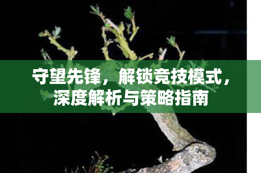 深度解析与策略指南图片