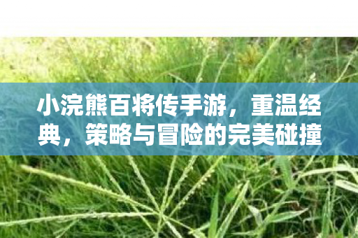 策略与冒险的完美碰撞图片