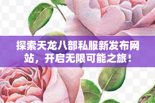 探索天龙八部私服新发布网站图片