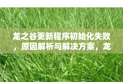 龙之谷更新程序初始化失败，原因解析与解决方案，龙之谷更新程序初始化失败，原因解析与解决方案