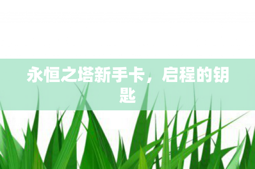 永恒之塔新手卡图片