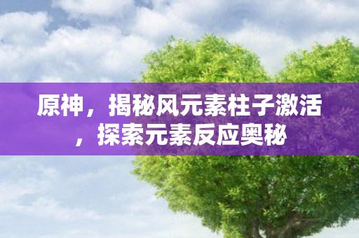揭秘风元素柱子激活图片