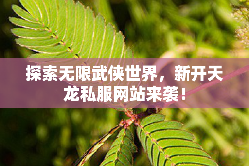 探索无限武侠世界,新开天龙私服网站来袭! 探索无限武侠世界,新开天龙私服网站来袭!