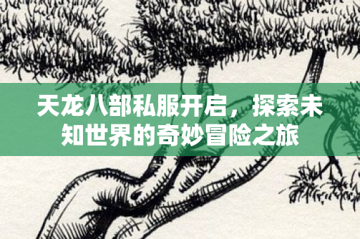 天龙八部私服开启,探索未知世界的奇妙冒险之旅 天龙八部私服开启,探索未知世界的奇妙冒险之旅