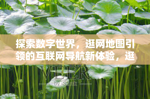 探索数字世界,逛网地图引领的互联网导航新体验,逛网地图,引领数字世界探索新体验 探索数字世界,逛网地图引领的互联网导航新体验,逛网地图,引领数字世界探索新体验