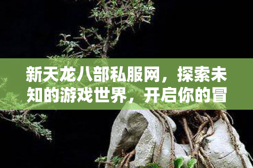 新天龙八部私服网，探索未知的游戏世界，开启你的冒险之旅