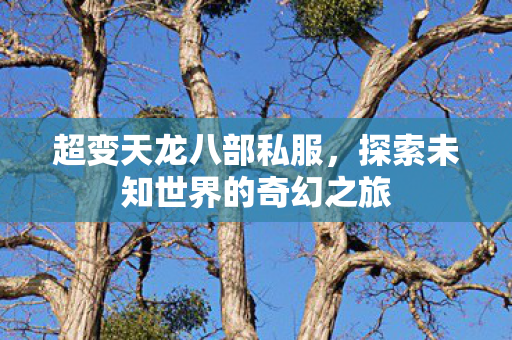 超变天龙八部私服，探索未知世界的奇幻之旅