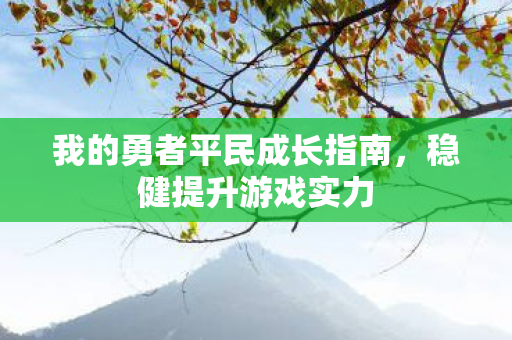我的勇者平民成长指南,稳健提升游戏实力 我的勇者平民成长指南,稳健提升游戏实力