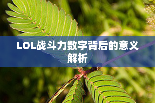 LOL战斗力数字背后的意义解析 LOL战斗力数字背后的意义解析