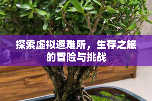 探索虚拟避难所,生存之旅的冒险与挑战 探索虚拟避难所,生存之旅的冒险与挑战