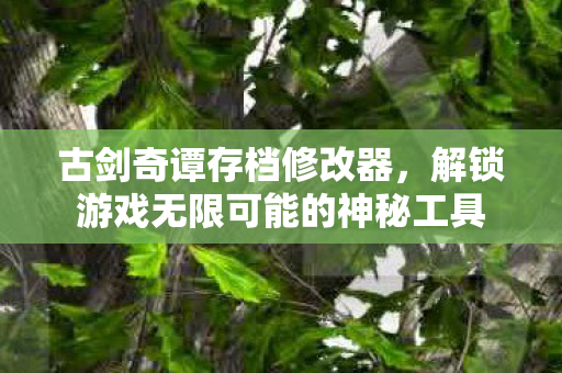 古剑奇谭存档修改器,解锁游戏无限可能的神秘工具 古剑奇谭存档修改器,解锁游戏无限可能的神秘工具
