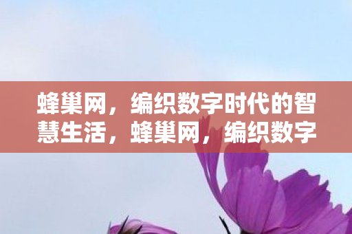 编织数字时代的智慧生活图片