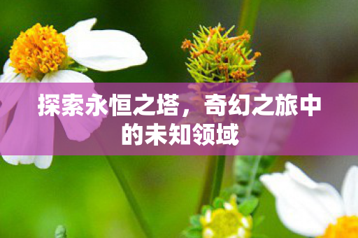 探索永恒之塔,奇幻之旅中的未知领域 探索永恒之塔,奇幻之旅中的未知领域