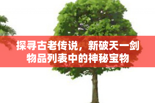 新破天一剑物品列表中的神秘宝物图片