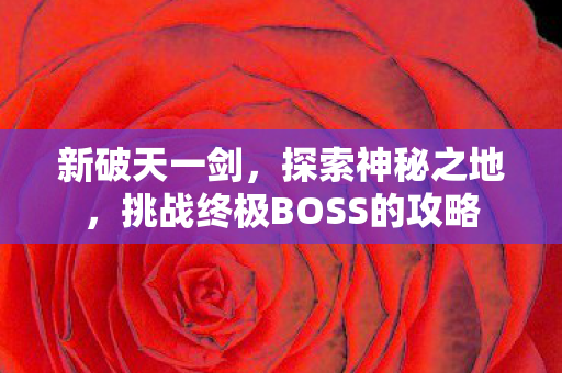 挑战终极BOSS的攻略图片