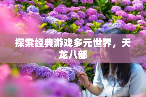 探索经典游戏多元世界,天龙八部 探索经典游戏多元世界,天龙八部
