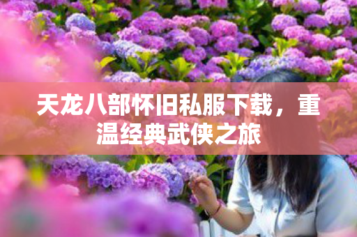 天龙八部怀旧私服下载,重温经典武侠之旅 天龙八部怀旧私服下载,重温经典武侠之旅