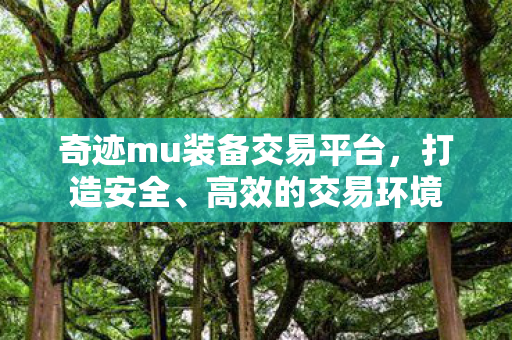 奇迹mu装备交易平台,打造安全、高效的交易环境 奇迹mu装备交易平台,打造安全、高效的交易环境
