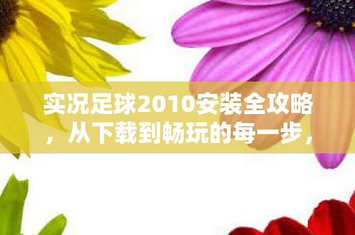 实况足球2010安装全攻略图片