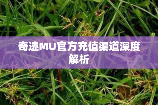 奇迹MU官方充值渠道深度解析 奇迹MU官方充值渠道深度解析