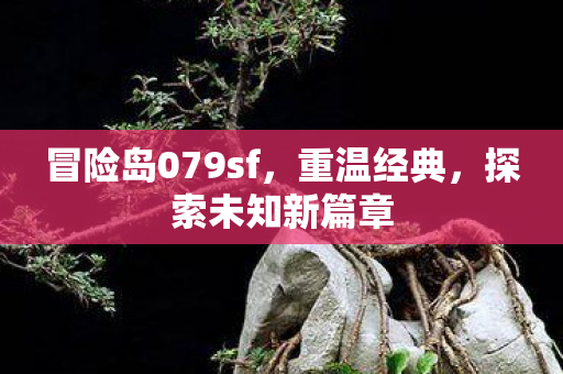 冒险岛079sf图片