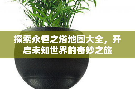 开启未知世界的奇妙之旅图片