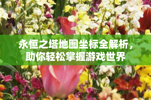 永恒之塔地图坐标全解析，助你轻松掌握游戏世界