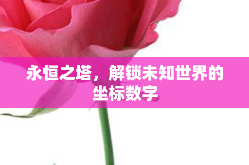 永恒之塔,解锁未知世界的坐标数字 永恒之塔,解锁未知世界的坐标数字