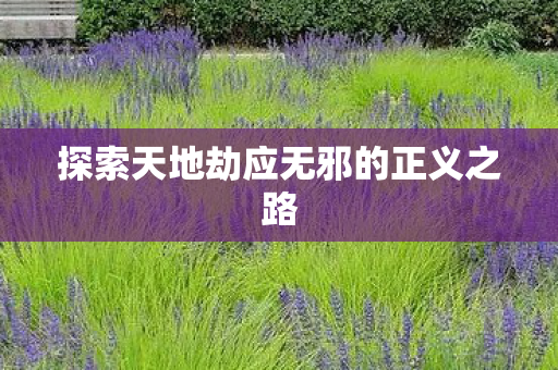 探索天地劫应无邪的正义之路图片