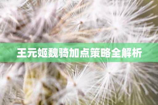 王元姬魏骑加点策略全解析图片