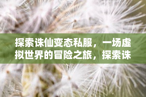 探索诛仙变态私服,一场虚拟世界的冒险之旅,探索诛仙变态私服,虚拟世界的冒险之旅 探索诛仙变态私服,一场虚拟世界的冒险之旅,探索诛仙变态私服,虚拟世界的冒险之旅