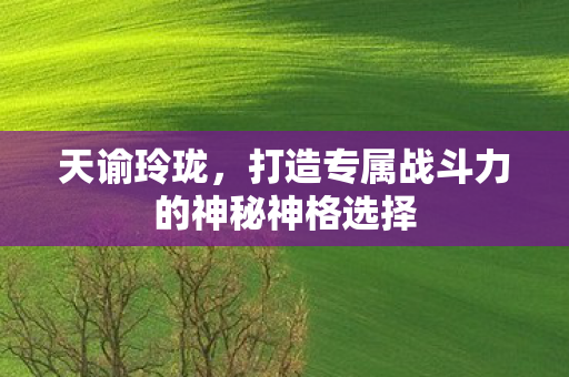 打造专属战斗力的神秘神格选择图片