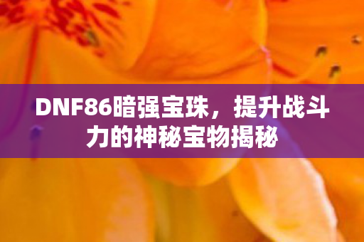提升战斗力的神秘宝物揭秘图片