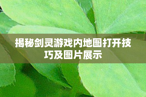 揭秘剑灵游戏内地图打开技巧及图片展示图片