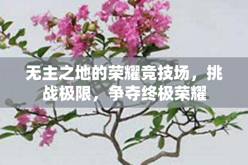 无主之地的荣耀竞技场图片