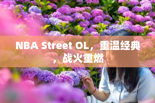 NBA Street OL图片