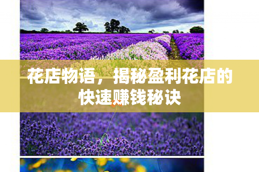 揭秘盈利花店的快速赚钱秘诀图片