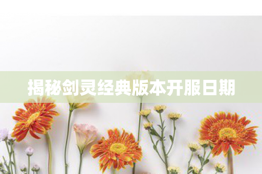 揭秘剑灵经典版本开服日期图片