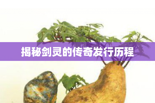 揭秘剑灵的传奇发行历程图片