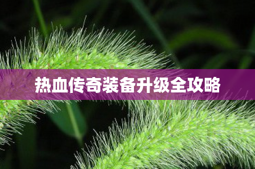 热血传奇装备升级全攻略图片