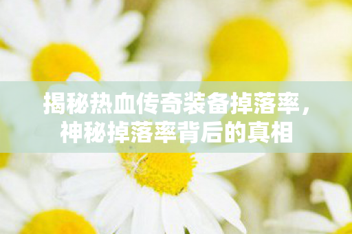 揭秘热血传奇装备掉落率图片