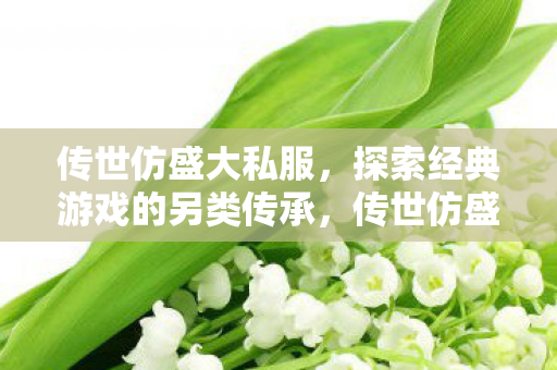 传世仿盛大私服,探索经典游戏的另类传承,传世仿盛大私服,经典游戏的另类传承之路 传世仿盛大私服,探索经典游戏的另类传承,传世仿盛大私服,经典游戏的另类传承之路