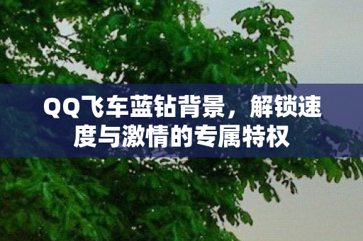 解锁速度与激情的专属特权图片