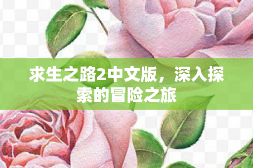 求生之路2中文版,深入探索的冒险之旅 求生之路2中文版,深入探索的冒险之旅