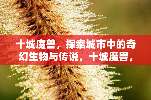 十城魔兽,探索城市中的奇幻生物与传说,十城魔兽,探索城市中的奇幻生物与传说 十城魔兽,探索城市中的奇幻生物与传说,十城魔兽,探索城市中的奇幻生物与传说