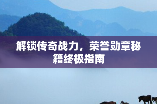 荣誉勋章秘籍终极指南图片