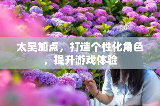 太昊加点,打造个性化角色,提升游戏体验 太昊加点,打造个性化角色,提升游戏体验