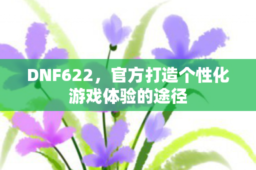 DNF622,官方打造个性化游戏体验的途径 DNF622,官方打造个性化游戏体验的途径