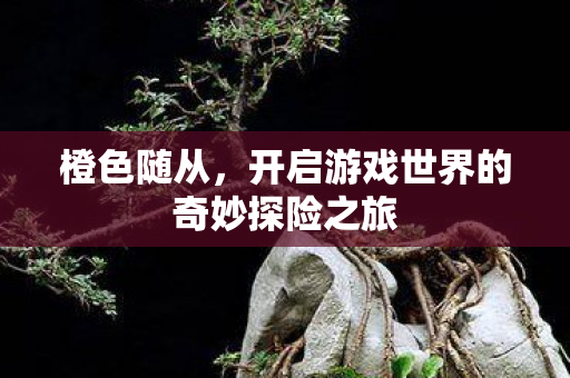 橙色随从,开启游戏世界的奇妙探险之旅 橙色随从,开启游戏世界的奇妙探险之旅