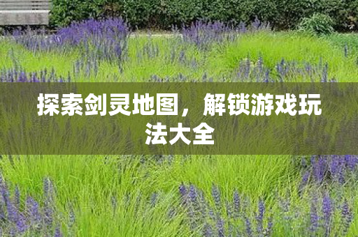 探索剑灵地图,解锁游戏玩法大全 探索剑灵地图,解锁游戏玩法大全